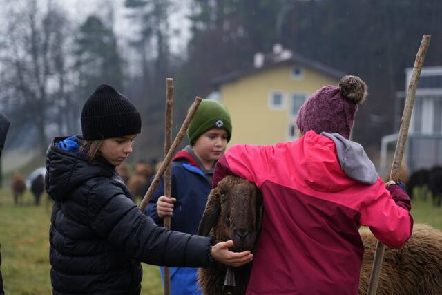 Foto: Julia Perktold