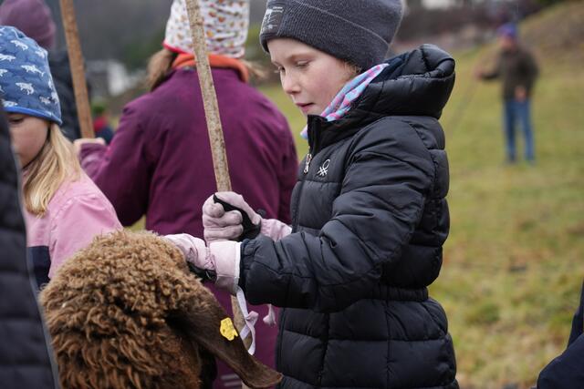 Foto: Julia Perktold