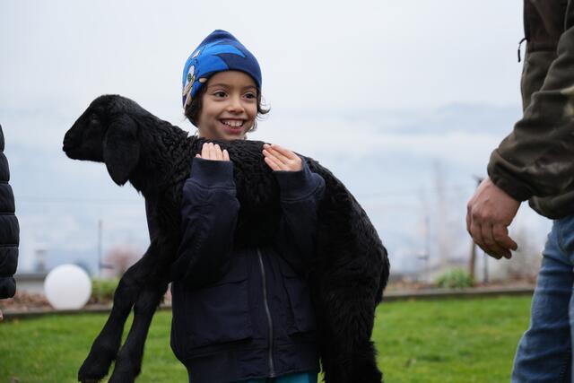 Foto: Julia Perktold