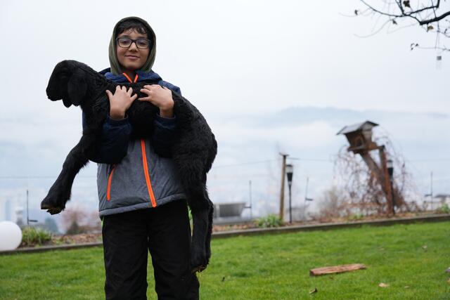 Foto: Julia Perktold