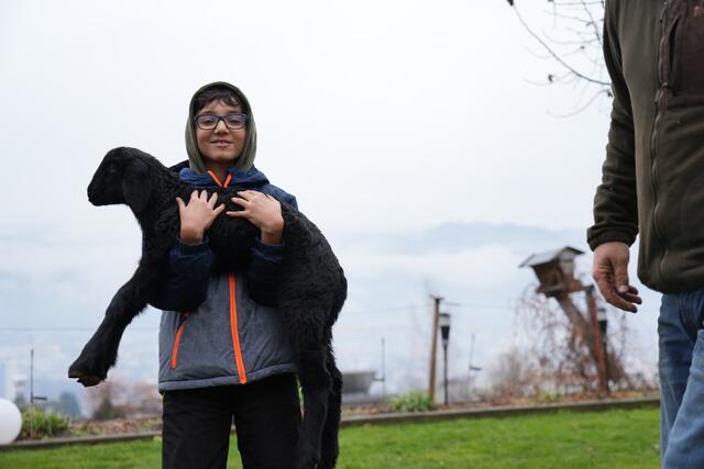 Foto: Julia Perktold