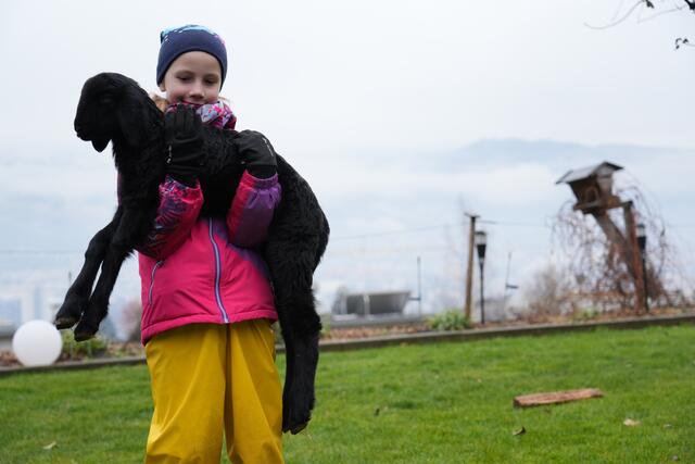 Foto: Julia Perktold