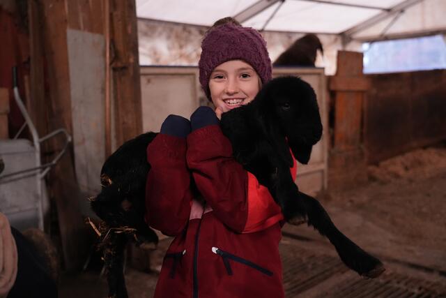 Foto: Julia Perktold