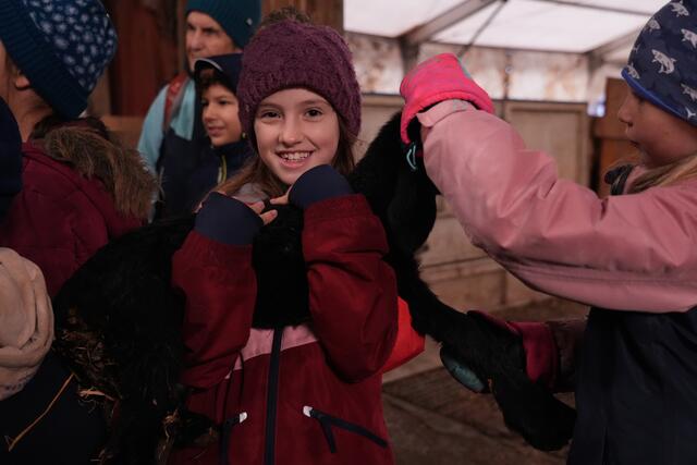 Foto: Julia Perktold