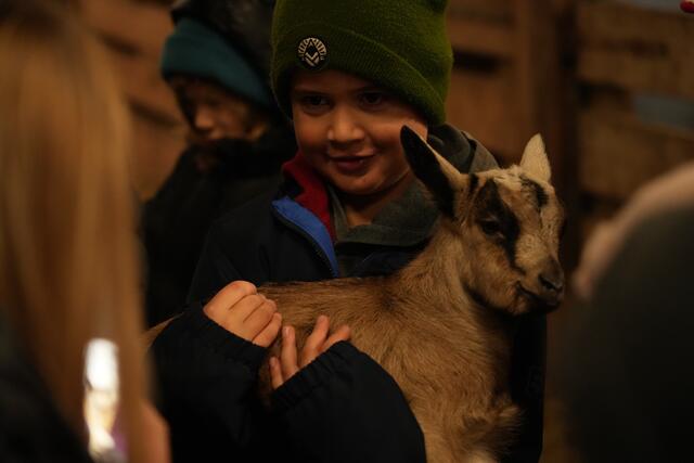 Foto: Julia Perktold