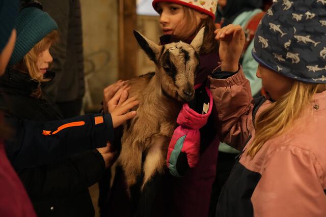 Foto: Julia Perktold