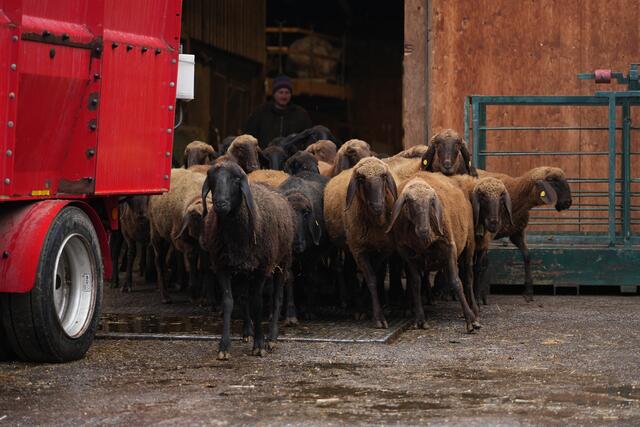 Foto: Julia Perktold