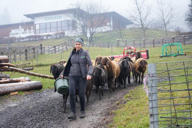 Foto: Julia Perktold