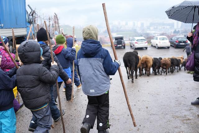 Foto: Julia Perktold