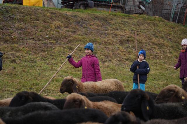 Foto: Julia Perktold