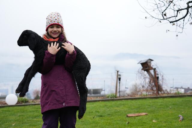 Foto: Julia Perktold