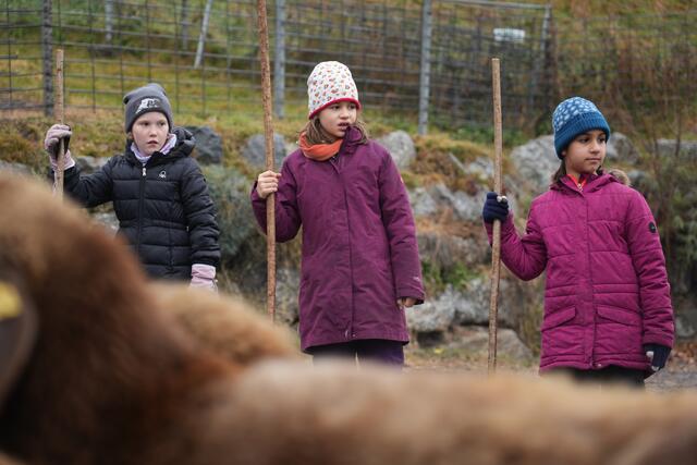 Foto: Julia Perktold