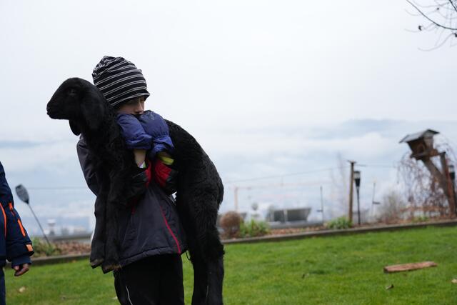 Foto: Julia Perktold