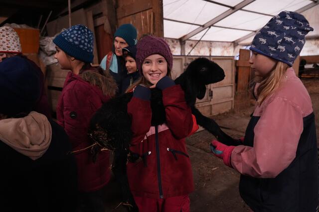 Foto: Julia Perktold