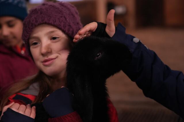 Foto: Julia Perktold