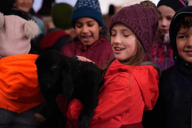 Foto: Julia Perktold