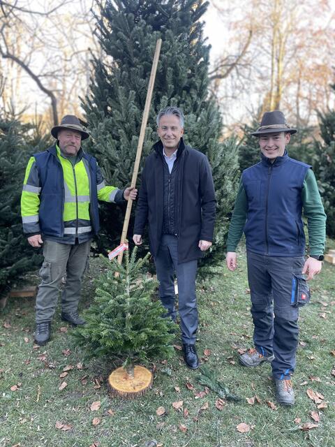 Stadtrat Kurt Hohensinner mit heimischen Christbaumhändlern | Foto: Büro Hohensinner