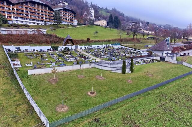 Am Friedhof St. Urban entsteht ein Friedensforst. In biologisch abbaubaren Urnen können Verstorbene dort künftig beigesetzt werden. | Foto: Gemeinde St. Urban