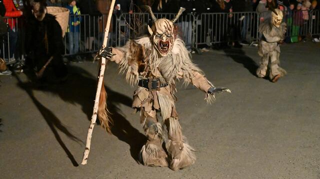 Mehr als 13 Krampus- und Perchtengruppen nahmen am Krampuslauf in Kammern teil. | Foto: Norbert Ortner