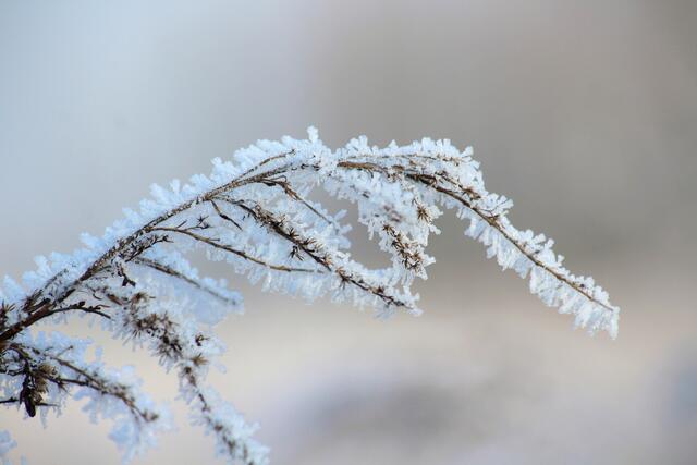 Fürs Wochenende kündigen sich Regen und Schnee an. | Foto: Pixabay/_Alicja_ (Symbolbild)