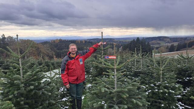 Klaus Gschwendtner: "Wer einen großen Baum will, sollte schnell zugreifen." | Foto: Gschwendtner
