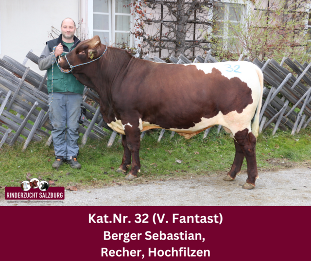 Ein Original-Pinzgauer-Zuchtstier erzielte Tageshöchstpreis. | Foto: Rinderzuchtverband Salzburg