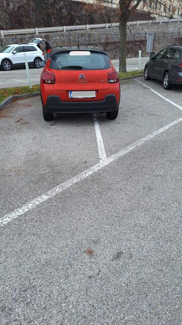 „Diese zwei Parkplätze sind für mich da“ - so könnte der Gedankengang des Parksünders ausgesehen haben. | Foto: privat