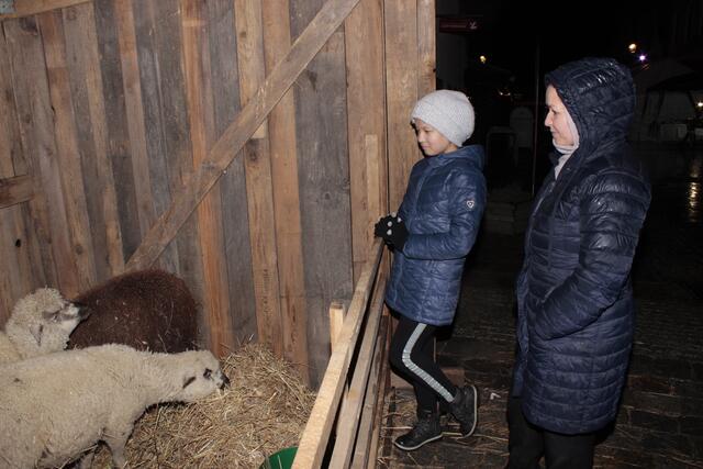 Foto: Walter Kellner