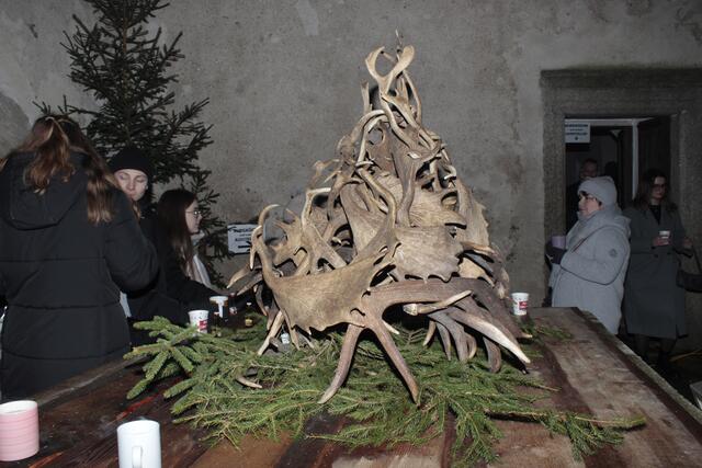 Foto: Walter Kellner