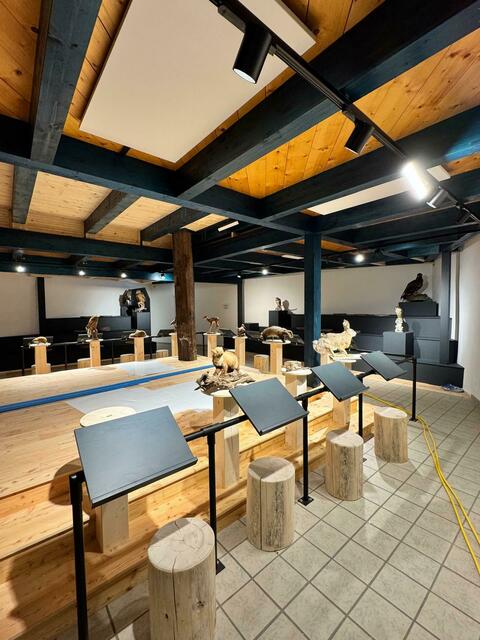 Auch wilde Tiere und ihren Steckbrief kann man ab dem Frühjahr 2025 bestaunen. | Foto: Naturpark