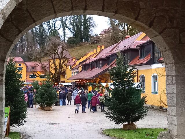 Bauernmarkt Glanegg  | Foto: H. Bachinger