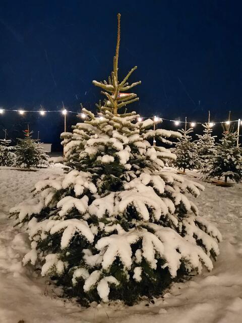 Foto: Martin Doppelbauer 