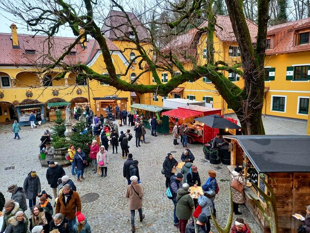 Foto: H. Bachinger