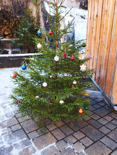 Foto: Veronika Frank