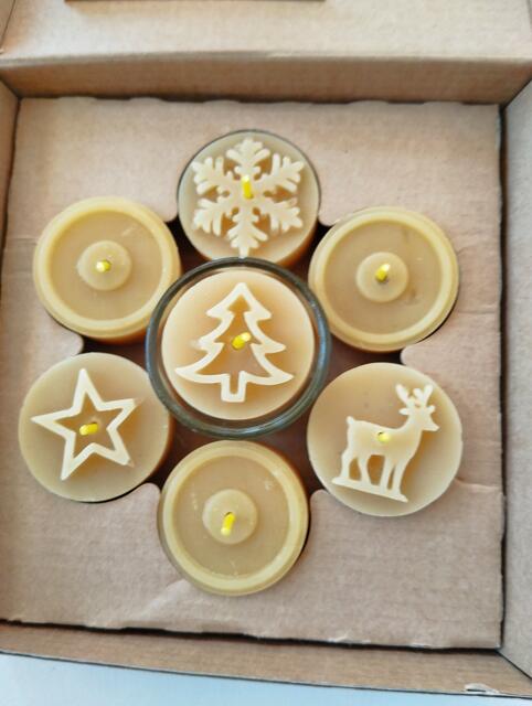 Foto: Veronika Frank