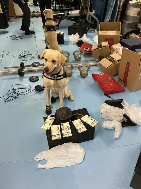 Anfang November deckte die Steuerfahndung einen großangelegten Betrug mit Vereinsverkäufen auf. Bei zeitgleichen Hausdurchsuchungen in Wien, Graz, Salzburg und Oberösterreich wurden 100.000 Euro Bargeld, Luxusgüter und illegale Medikamente sichergestellt.  | Foto: BMF/ABB