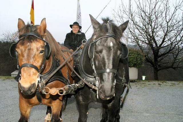 Tierarzt Klaus Fischl bot mit seinen Noriker-Pferden Kutschenfahrten an. | Foto: Anna Kaufmann