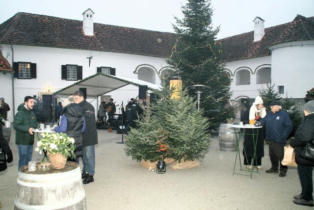 Das Schloss erstrahlte im vorweihnachtlichen Glanz. | Foto: Anna Kaufmann