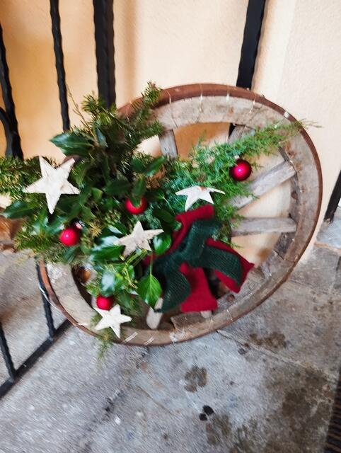 Foto: Veronika Frank