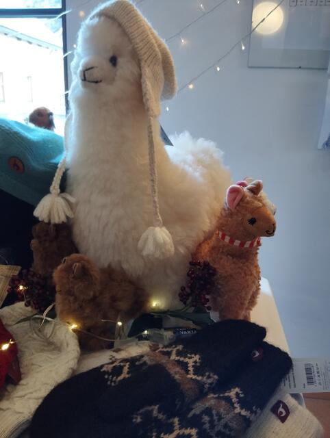 Foto: Veronika Frank