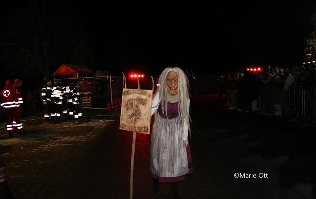 Die Südsteirischen Hügellandteufel