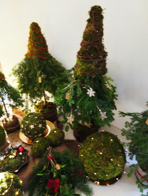 Foto: Veronika Frank