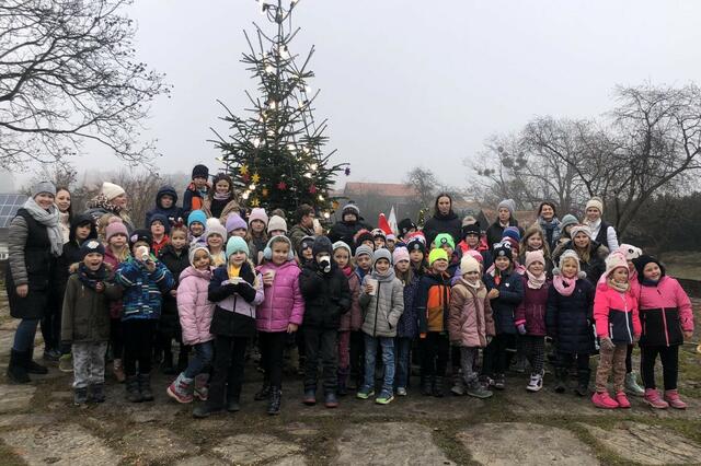 Gruppenfoto mit Schülern, den Veranstaltern und Weihnachtsbaum | Foto: Genussladen