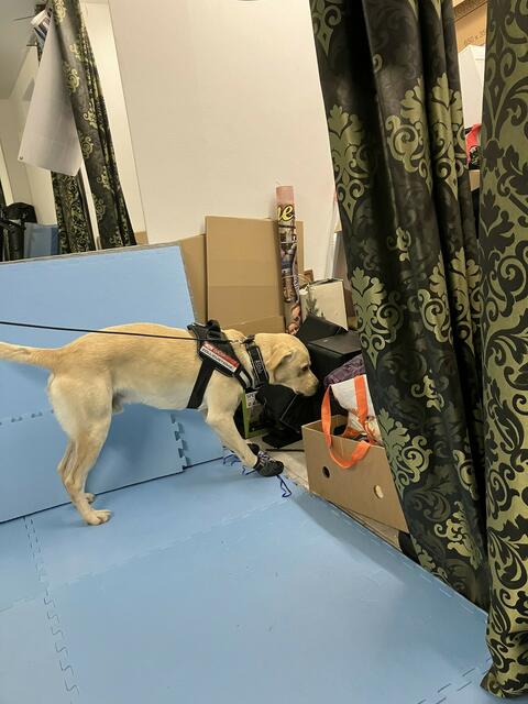 "Der jüngste Erfolg der Steuerfahndung zeigt einmal mehr, dass wir wachsam und entschlossen gegen Steuerbetrug vorgehen", betonte Finanzminister Gunther Mayr.  | Foto: BMF/ABB