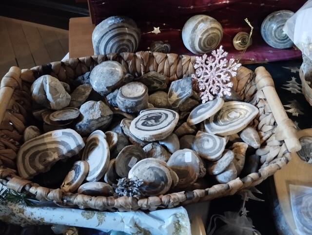 Foto: Veronika Frank