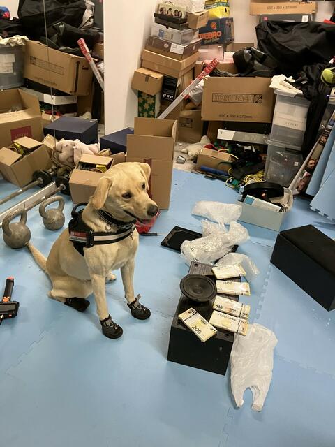 Insgesamt 29 Steuerfahnderinnen und Steuerfahnder, Mitarbeitende der Abgabensicherung, der Einheit Zoll-Cybercrime sowie ein speziell ausgebildeter Bargeldspürhund vom Zollamt Österreich mit Hundeführer waren bei den Durchsuchungen im Einsatz.  | Foto: BMF/ABB