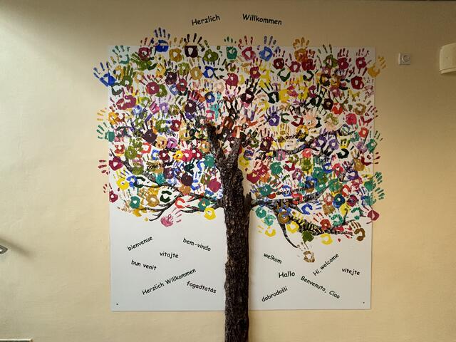 Foto: Hollinger Marc