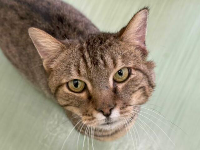 Dringend - Hospizplatz gesucht | Foto: TSV St. Pölten