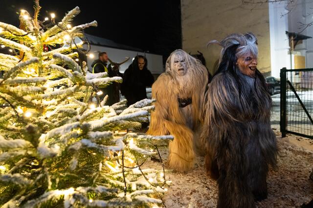 Foto: Harald Tauderer