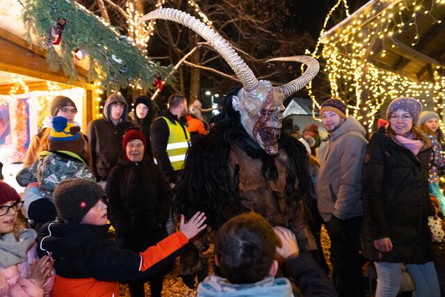 Foto: Harald Tauderer